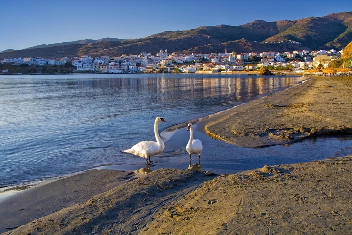 Kontos-Traditional House In Andros Beach Exterior foto